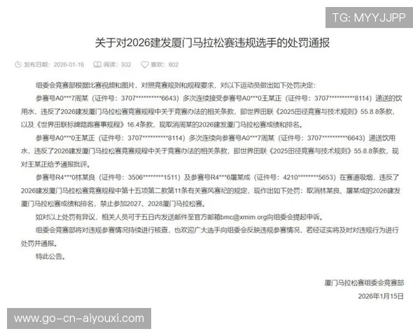规则争议：赛后判罚复审流程与判定依据公开说明，比赛处罚决定